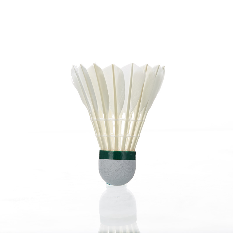 Kawasaki Feather Shuttlecock 8 - Badminton Raket review and price