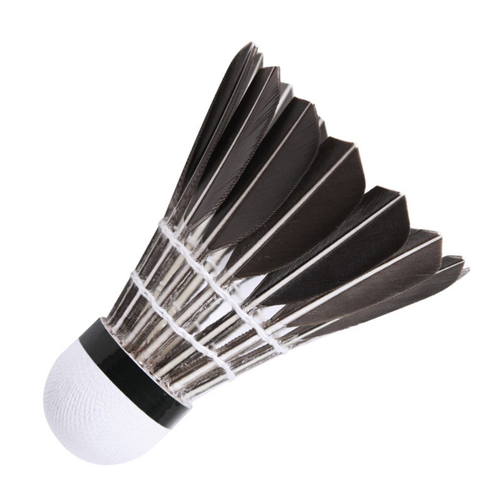 Professional Badminton Shuttle - Badminton Nylon Shuttlecock review and price