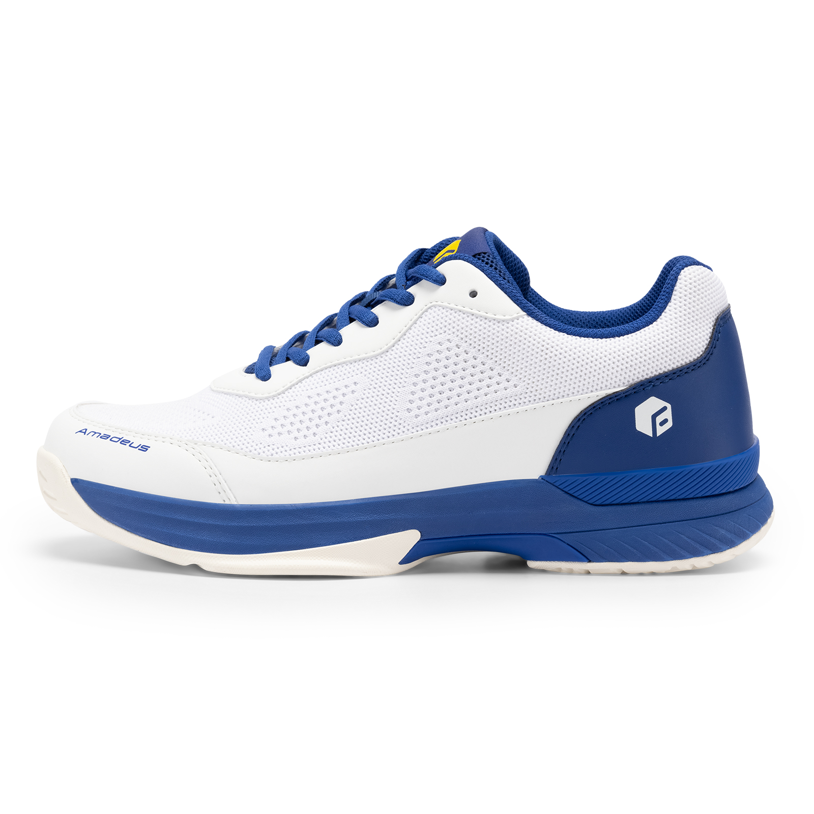 FitVille Pofessional Tennis Sh - Badminton Shoes review and price