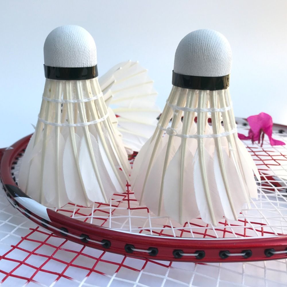 3/6/12Pcs Professional Badmint - Badminton Nylon Shuttlecock review and price