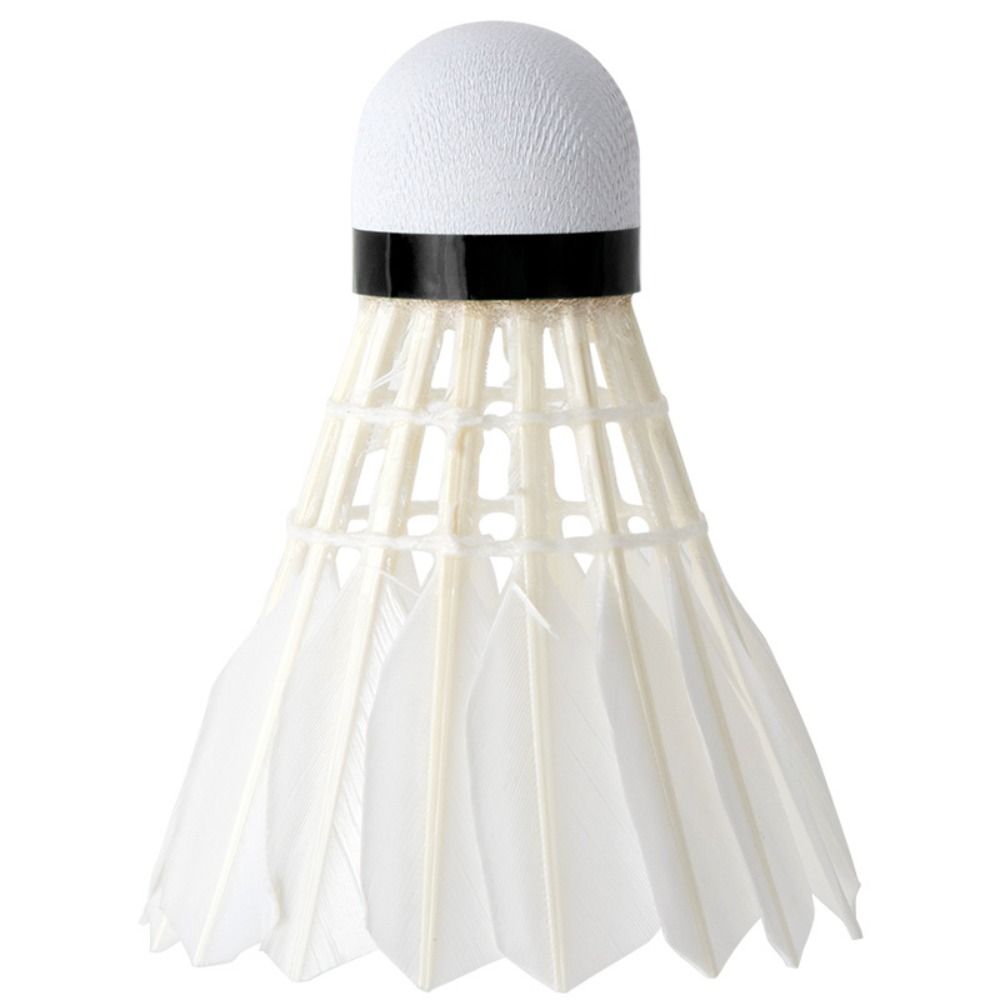 3/6/12Pcs Professional Badmint - Badminton Nylon Shuttlecock review and price