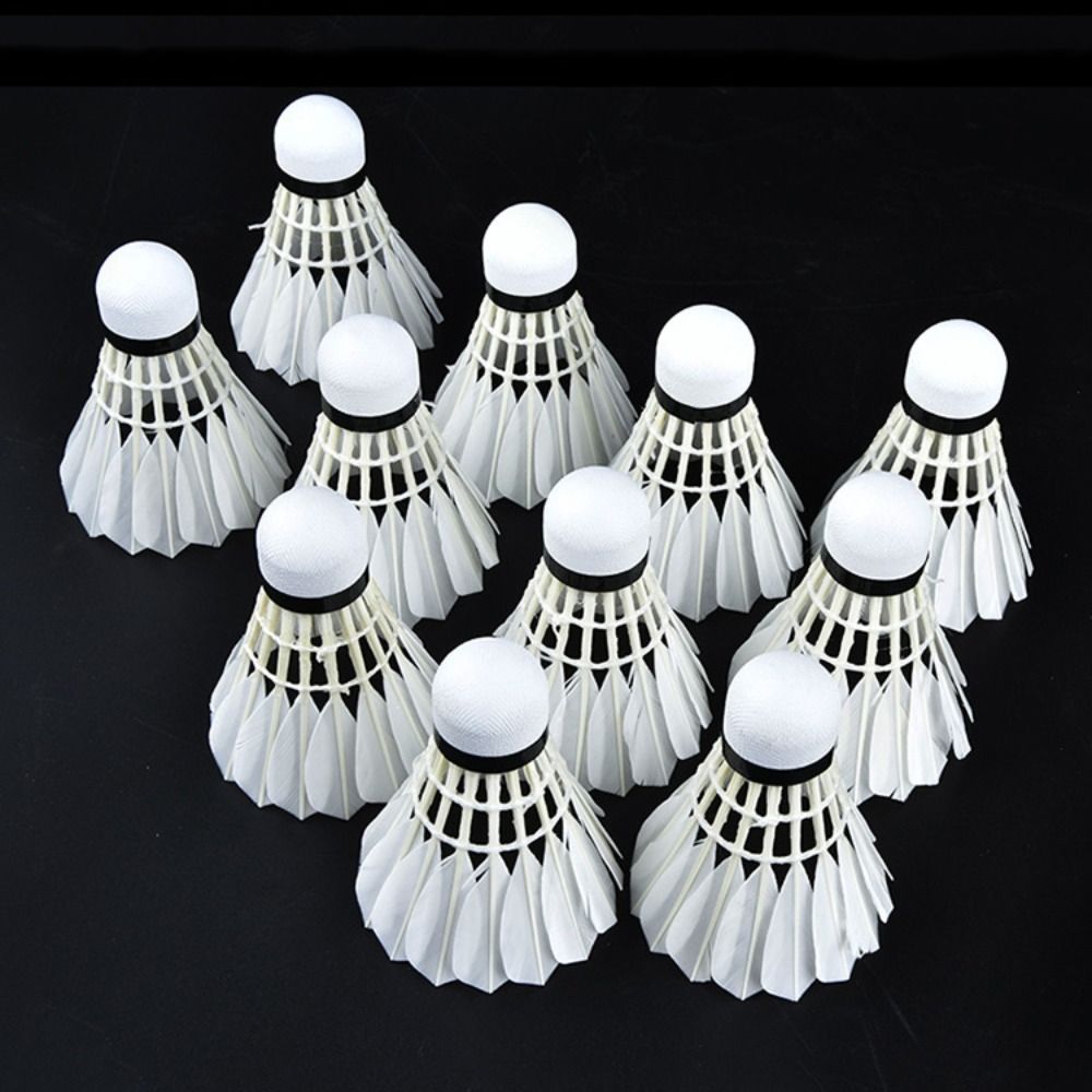 3/6/12Pcs Professional Badmint - Badminton Nylon Shuttlecock review and price